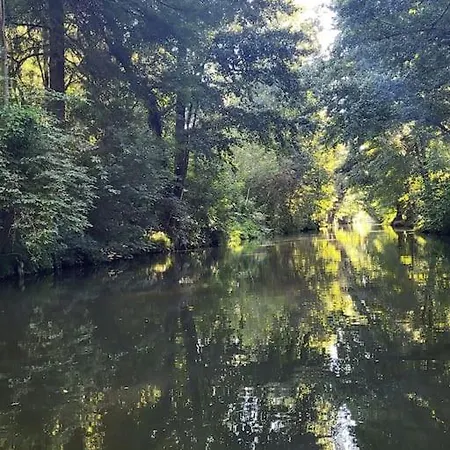 La Maison Du Puits, Son Gite, Et Sa Piscine Villeneuve-la-Comtesse